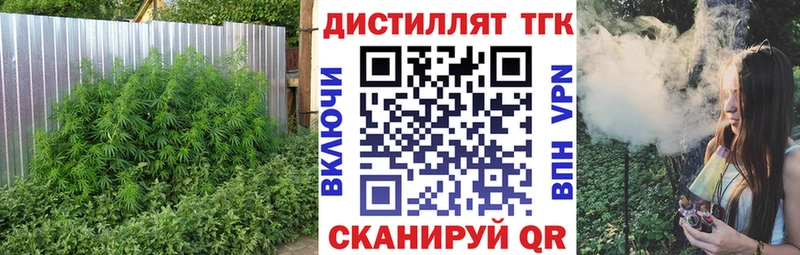 ТГК Wax Нолинск