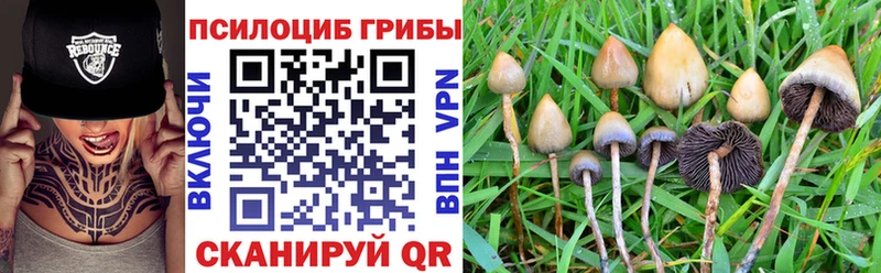 Псилоцибиновые грибы Magic Shrooms  продажа наркотиков  Нолинск 